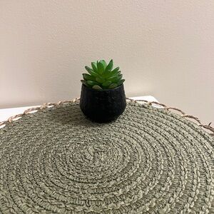 Disney Parks Green Succulent in Black Mickey Mouse Planter